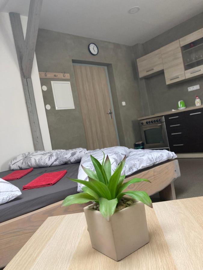 Apartmany V Raji Zdar  Экстерьер фото